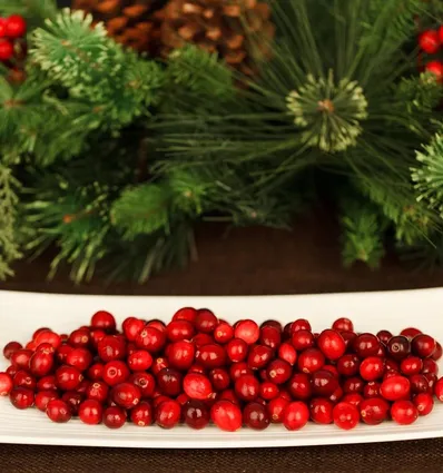 Getry ceglane Cranberry 6