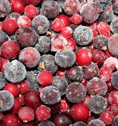 Sukienka z długim rękawem Cranberry 3